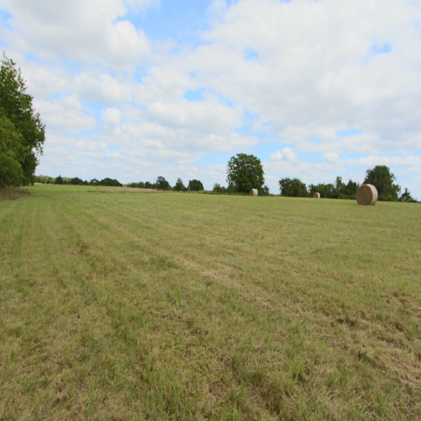 Offres de vente Terrain Saint-Félix-de-Villadeix 24510