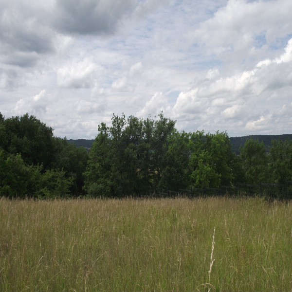 Offres de vente Terrain Saint-Astier 24110