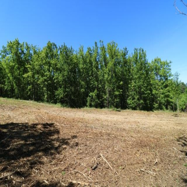 Offres de vente Terrain Paunat 24510