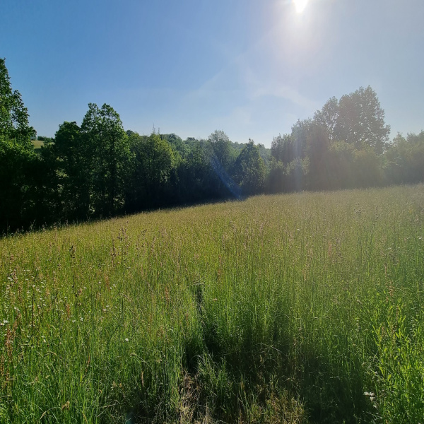 Offres de vente Terrain Saint-Georges-de-Montclard 24140