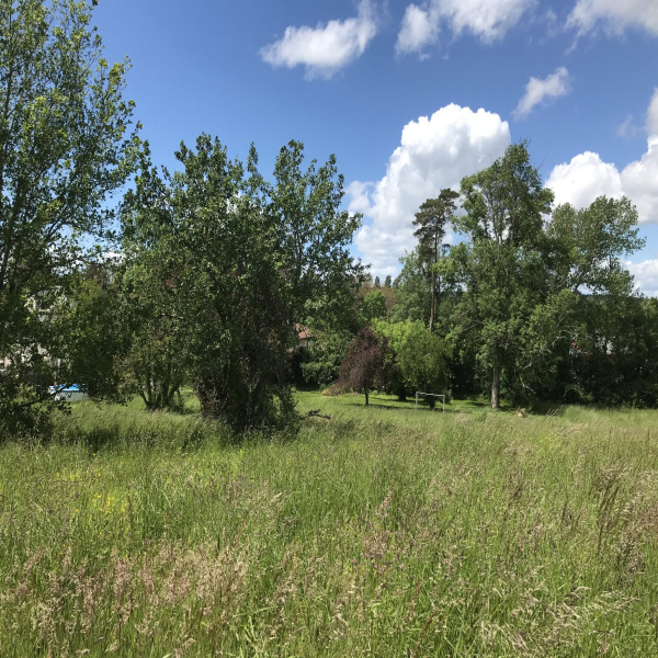 Offres de vente Terrain Razac-sur-l'Isle 24430