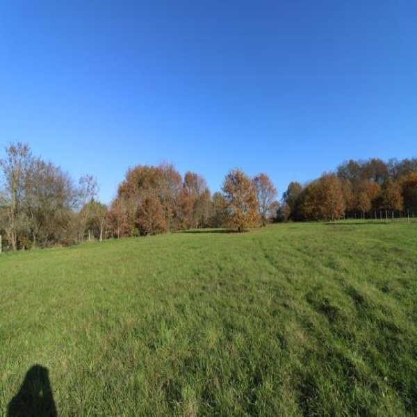 Offres de vente Terrain Trémolat 24510